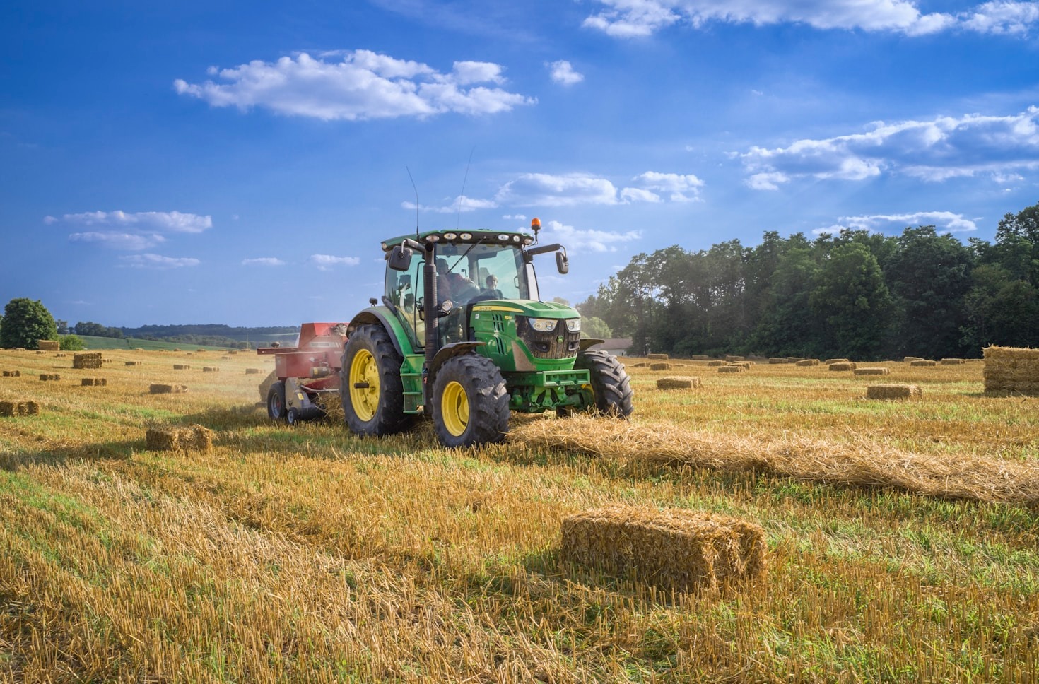 Consejos prácticos para proteger tus plantaciones